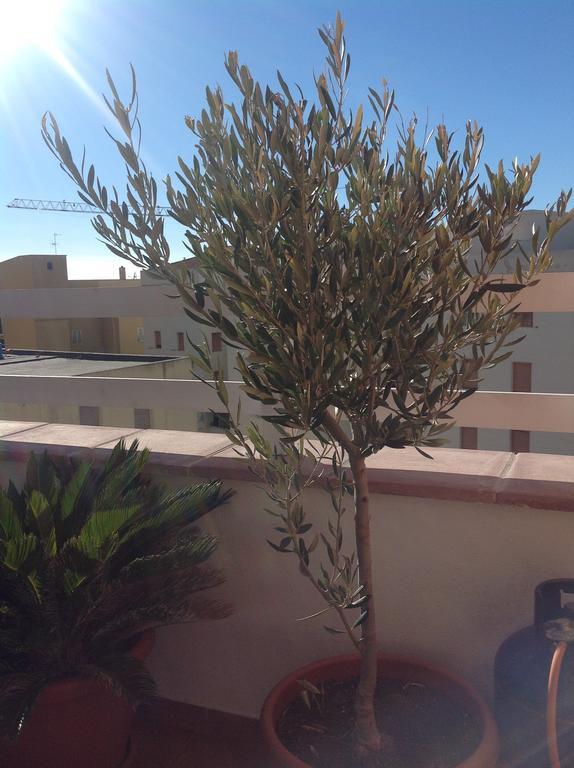 אלגהרו Villamari Apartment מראה חיצוני תמונה